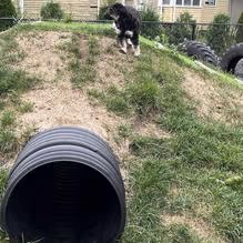 Sprocket Dog Park
